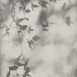 FLAVIKER Art Walls Shadow Nat./Ret. burkolólap 60x120