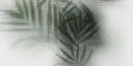 FLAVIKER Art Walls Beyond Lux./Ret. burkolólap 60x120