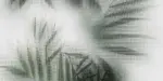 FLAVIKER Art Walls Beyond Lux./Ret. burkolólap 60x120