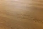 ARBITON AMARON ACOUSTIC EIR SPC/vinyl vízálló padló, Cornel Oak