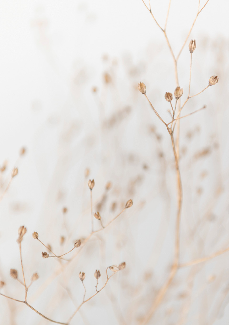HB SPC/vinyl vízálló fali panel, Dry Grass Branches (2605 x 1868 mm)
