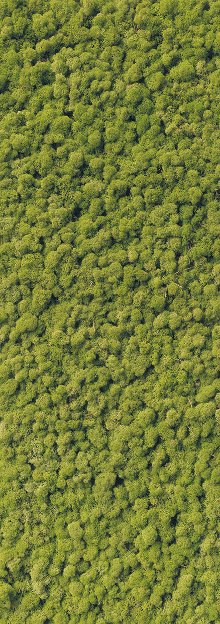 HB SPC/vinyl vízálló fali panel, Moss (2605 x 934 mm)