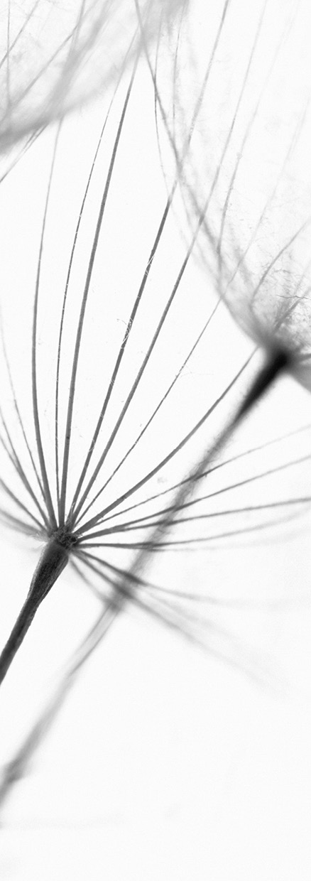 HB SPC/vinyl vízálló fali panel, Seeds of New Life (2605 x 934 mm)