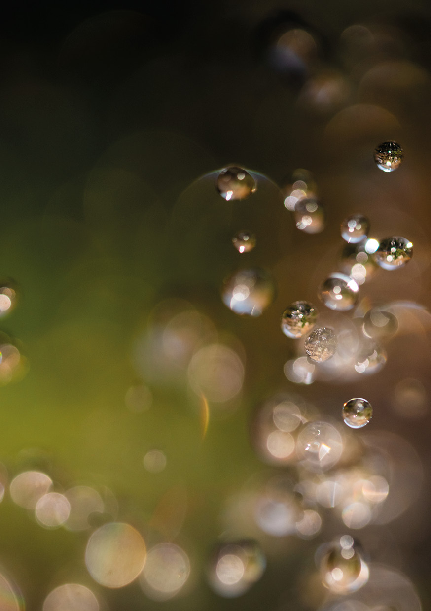 HB SPC/vinyl vízálló fali panel, Flying Drops (2605 x 1868 mm)