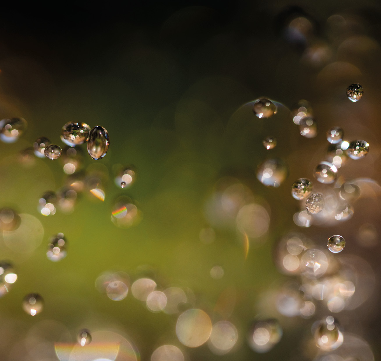 HB SPC/vinyl vízálló fali panel, Flying Drops (2605 x 2802 mm)