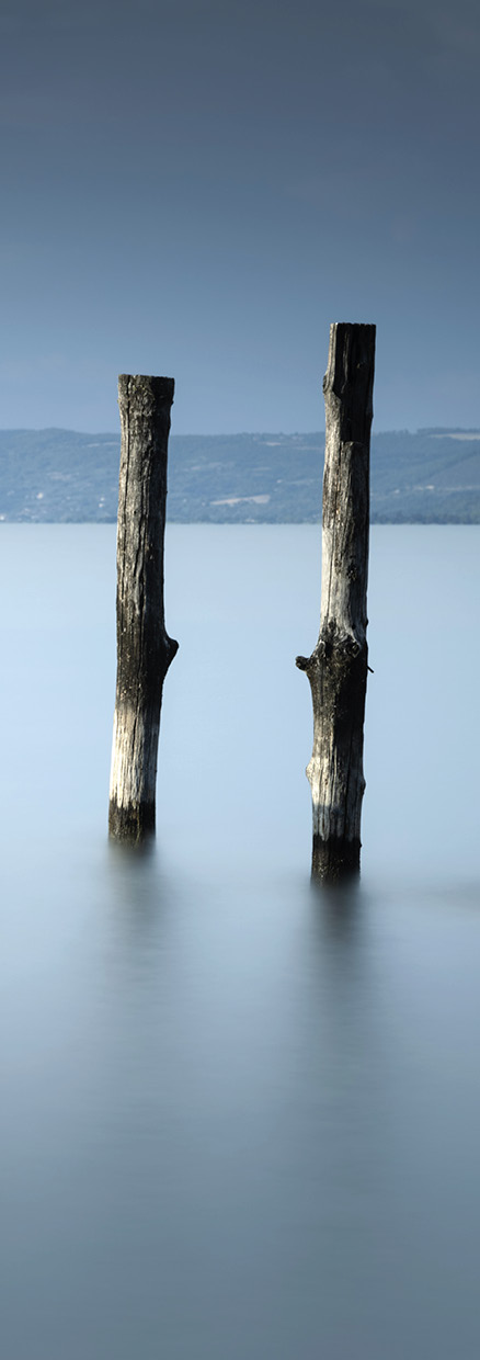 HB SPC/vinyl vízálló fali panel, Wood Trunks in Smooth Water (2605 x 934 mm)