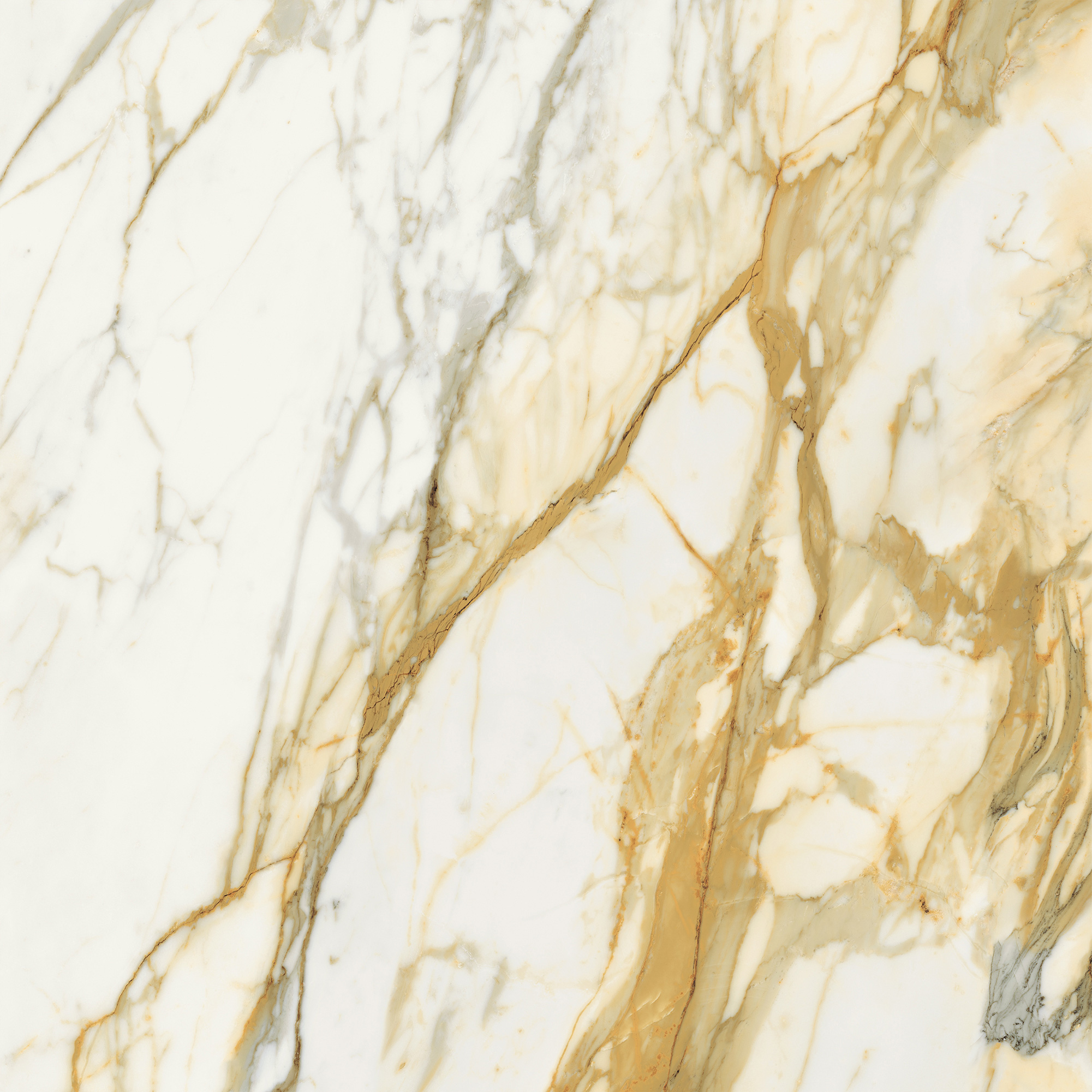 Marca Corona Scultorea Calacatta Vena Antica 60X120 R. (J395)